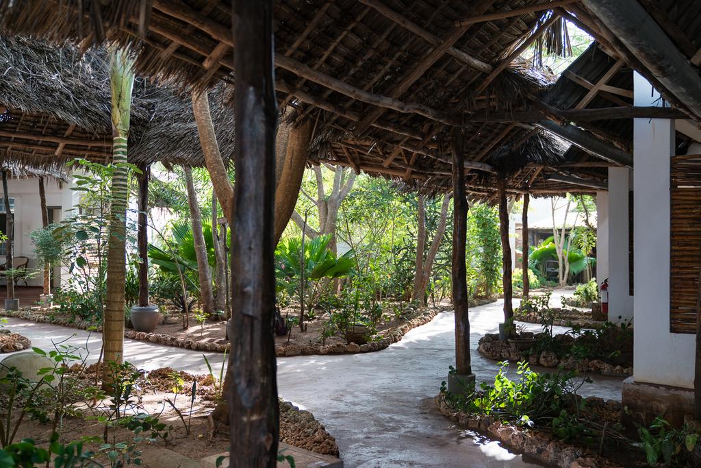 Beach Baby Lodge 4*, фото 8