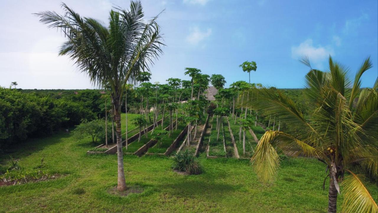 Safira Blu Luxury Resort And Villas 5*, фото 10