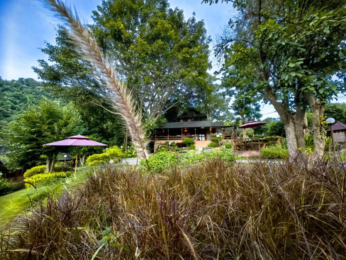 Hilltop Wellness Resort 4*, фото 6