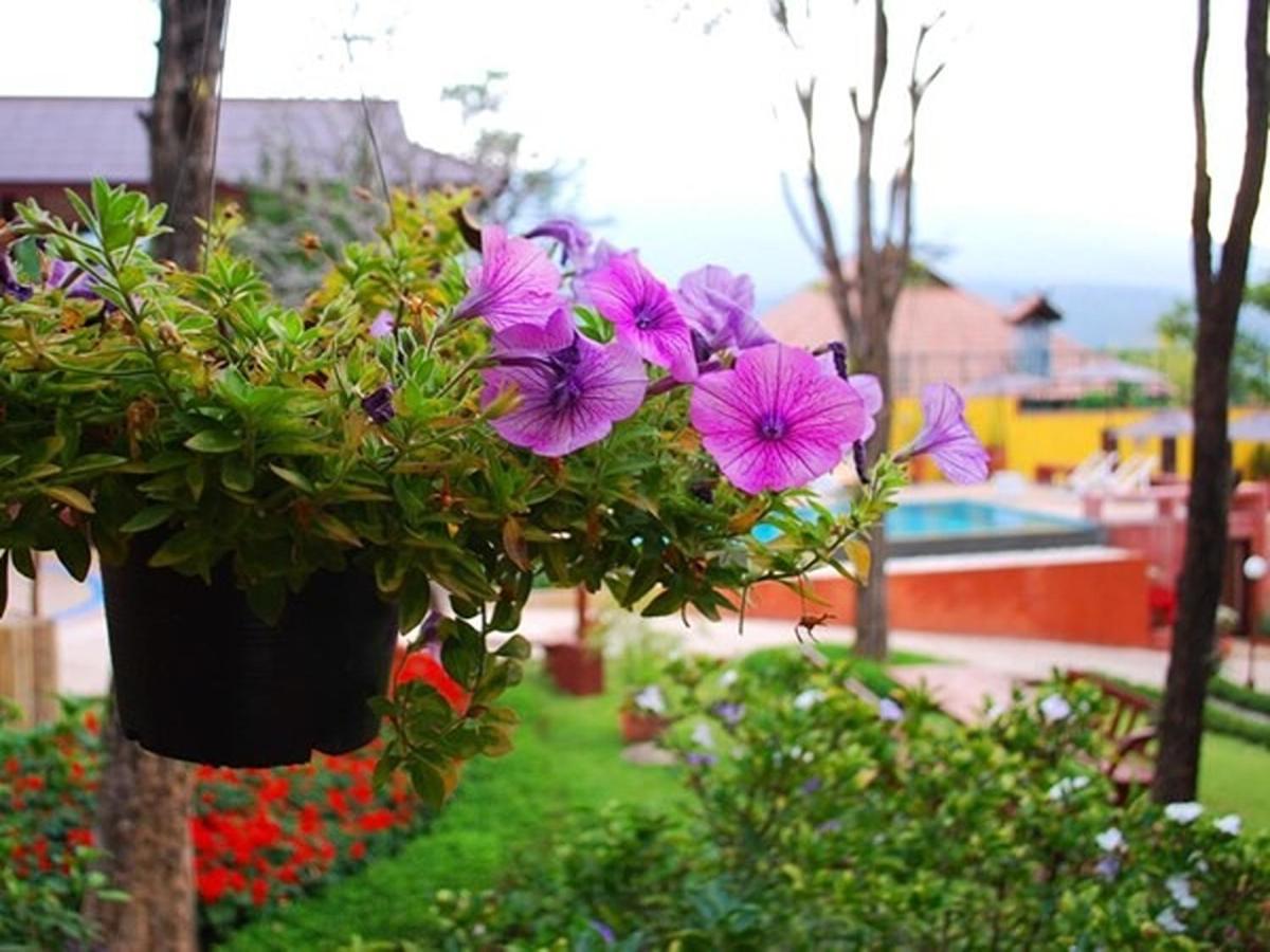 Hilltop Wellness Resort 4*, фото 8
