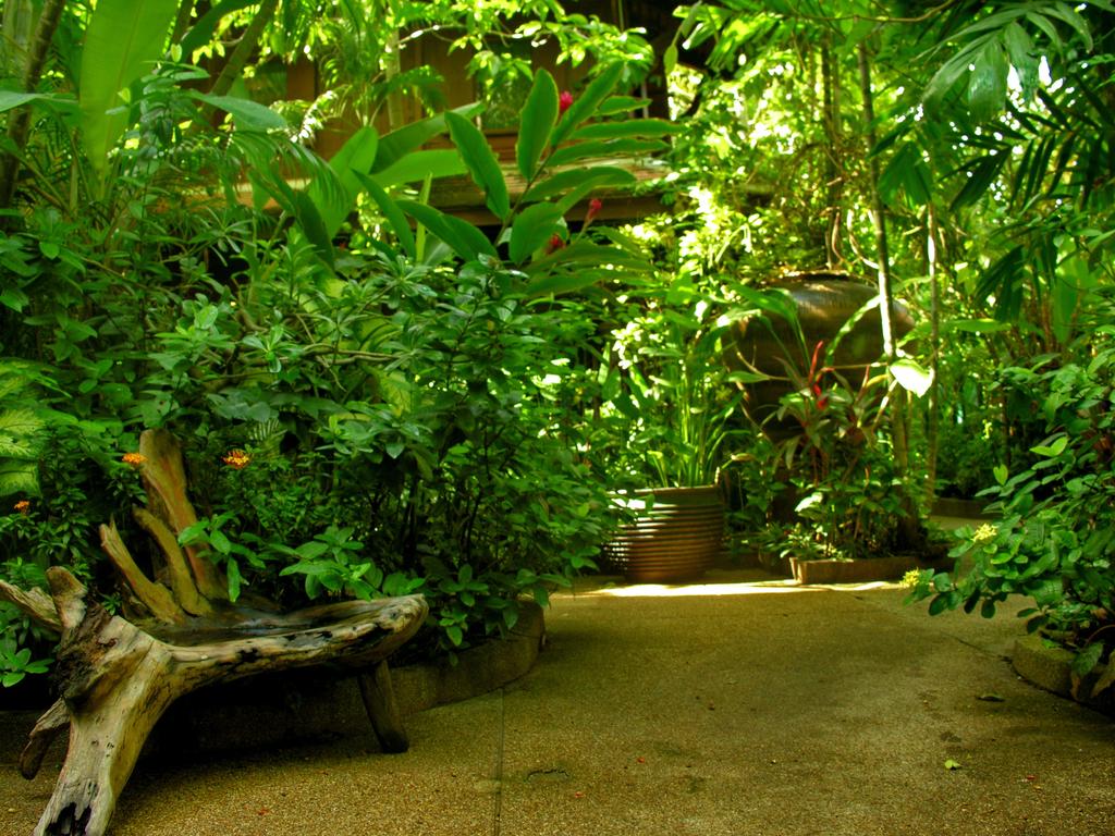 White House Beach Resort & Spa 4*, фото 11