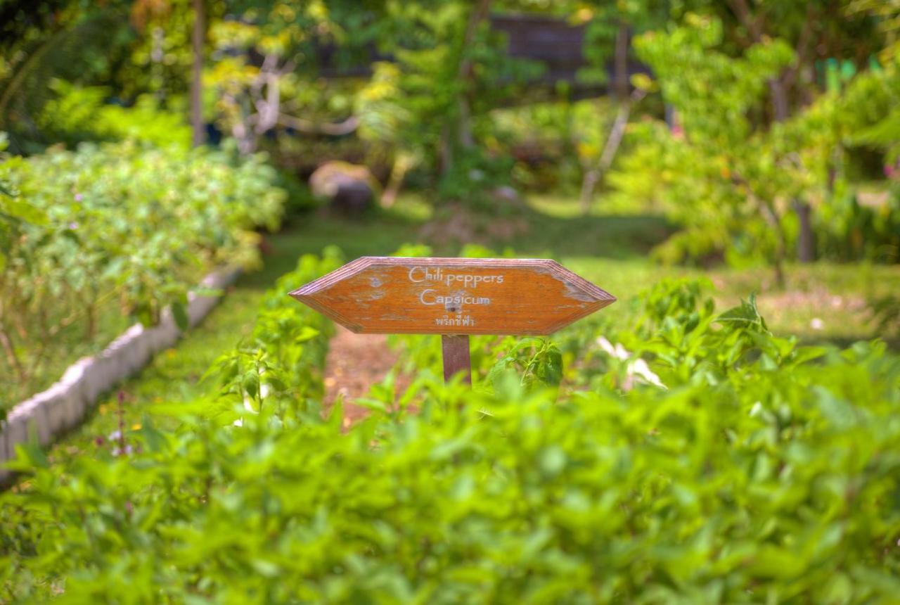 Fairhouse Villas & Spa 4*, фото 12