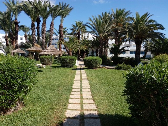 Magic Palm Beach Hammamet 4*, фото 15
