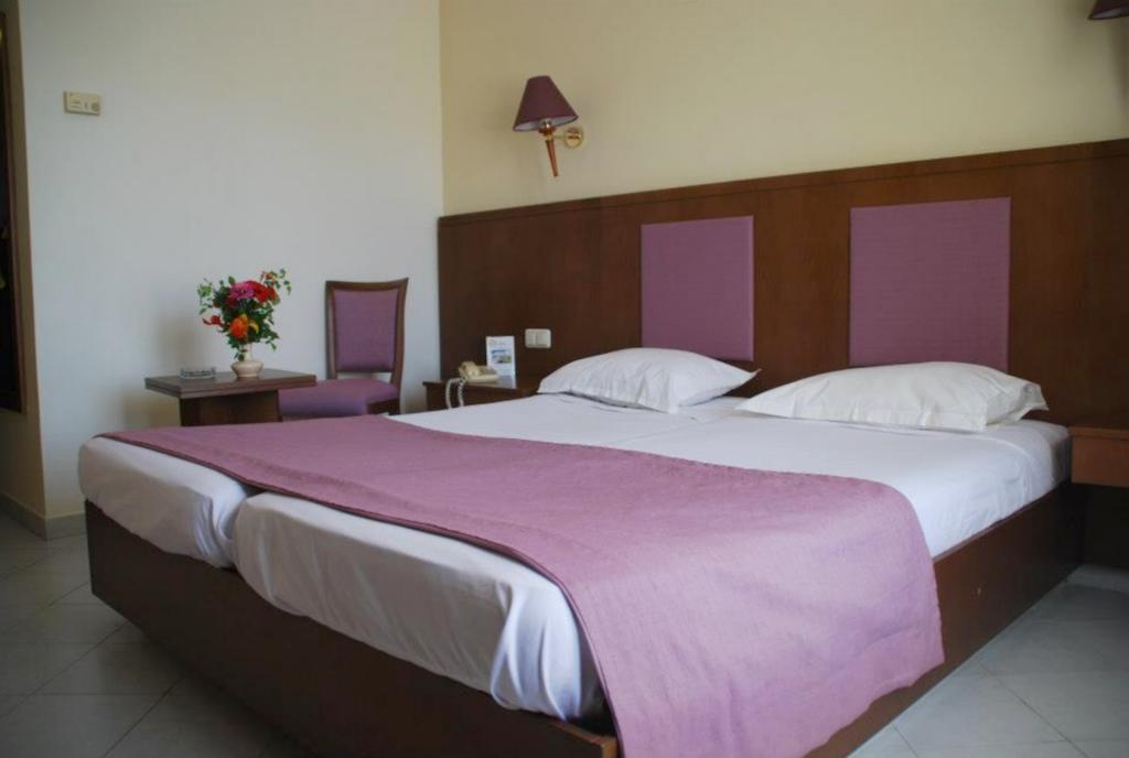 Houria Palace Hotel 4*, фото 4