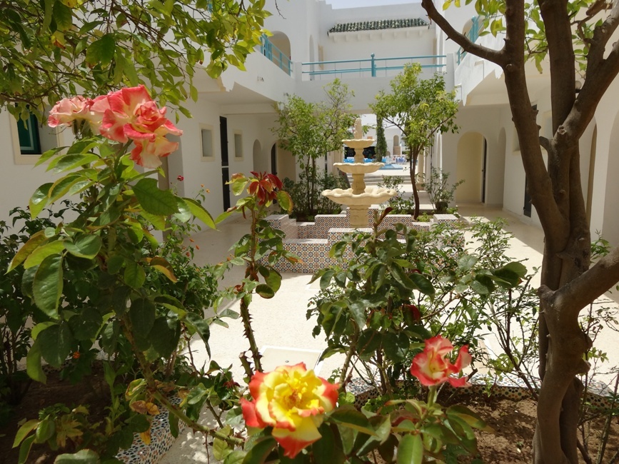 My Hotel Garden Beach 3*