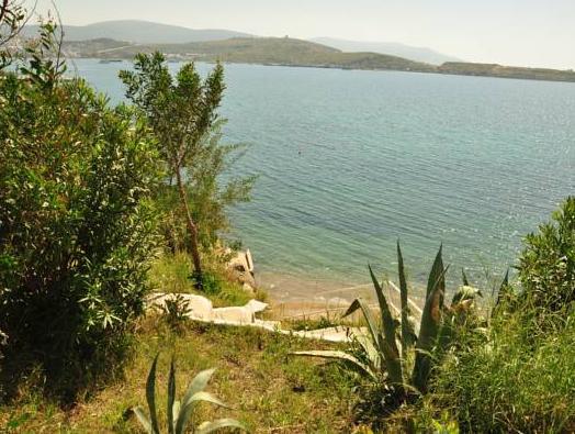 Peda Hotels Akvaryum Beach 3*, фото 7