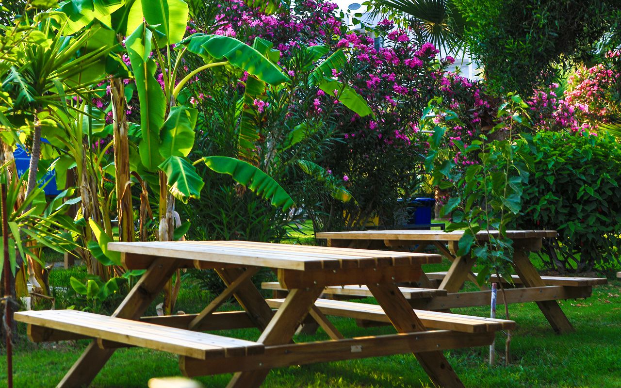 Telatiye Resort 5*, фото 2