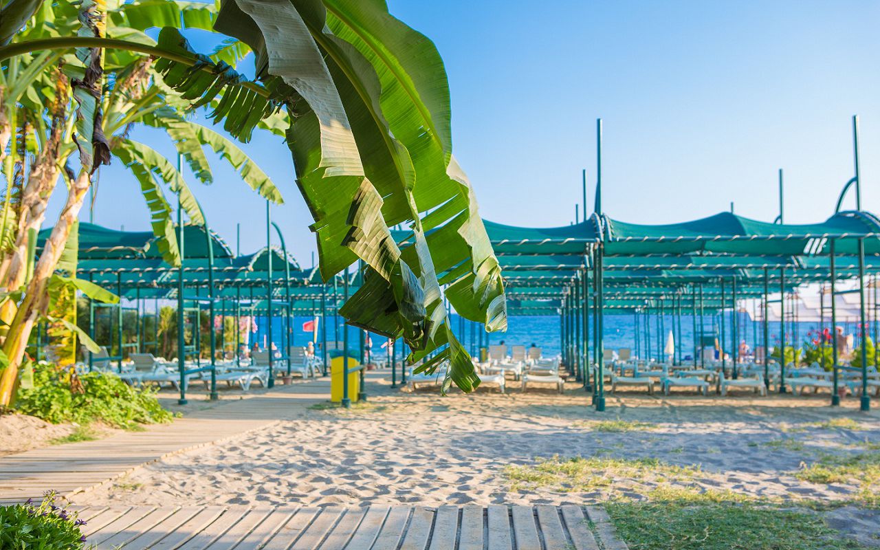 Telatiye Resort 5*