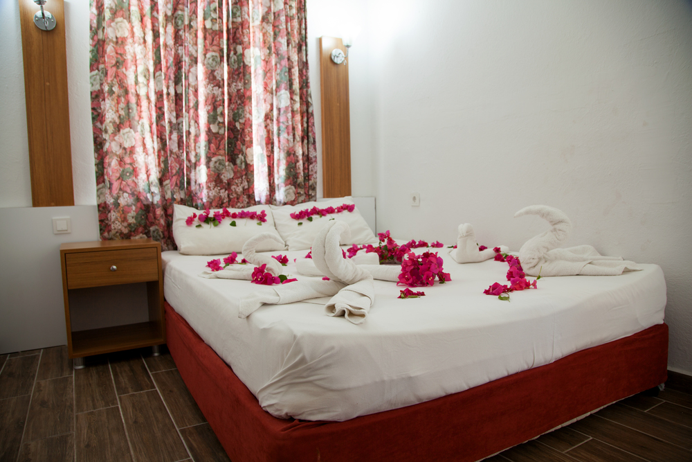 Nergos Side Hotel 2*, фото 4