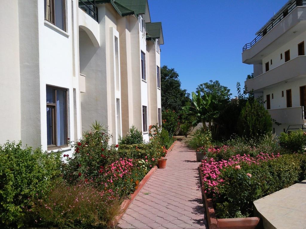 Ares Hotel Kemer 3*, фото 2