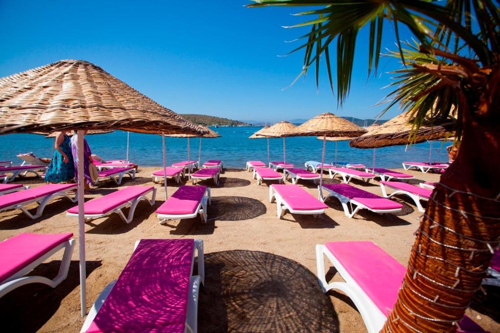 Ladonia Del Mare Hotel 4*, фото 15