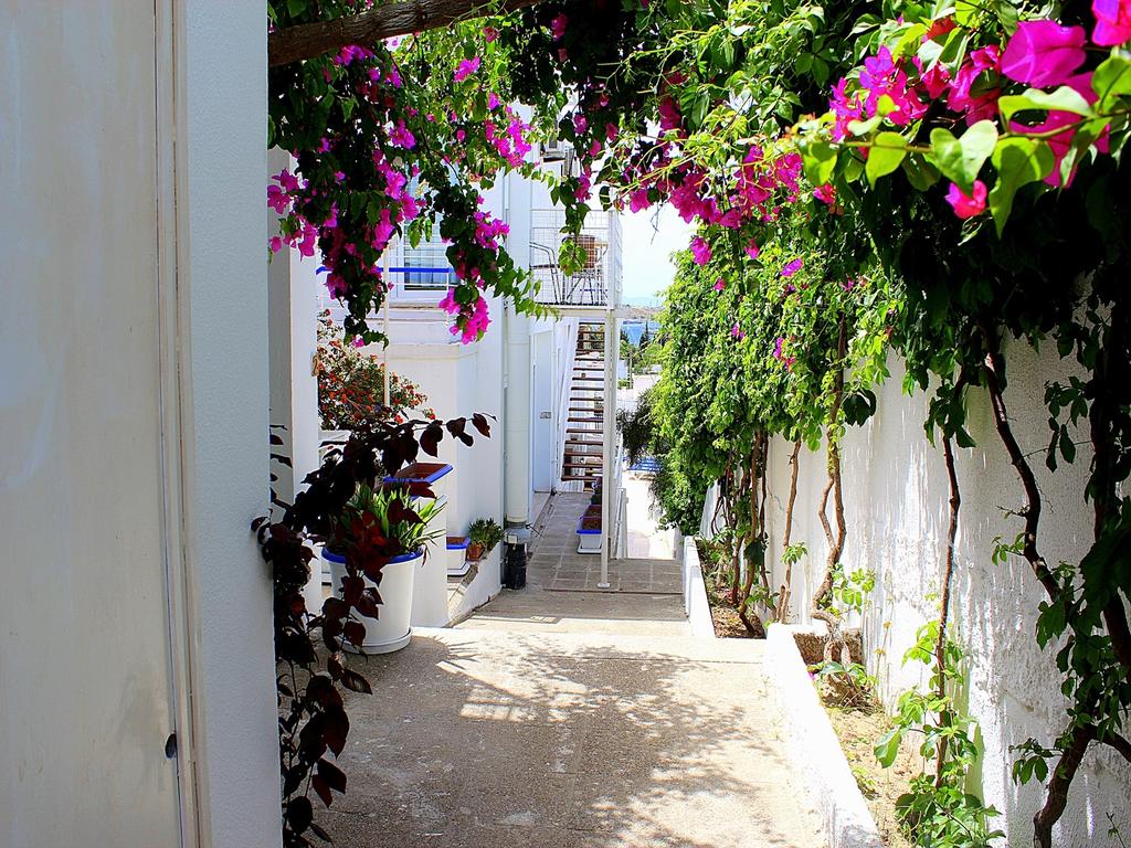Bodrum Nova Suites Hotel 3*, фото 3