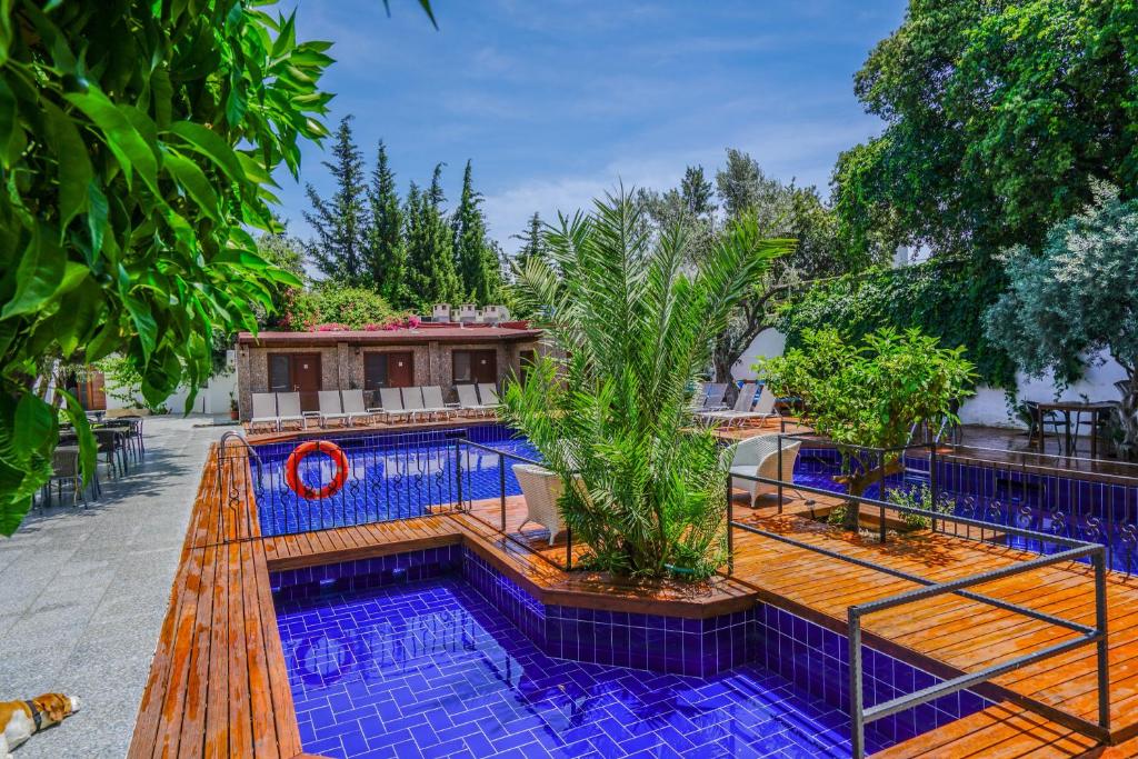 Centro Bodrum 3*, фото 6