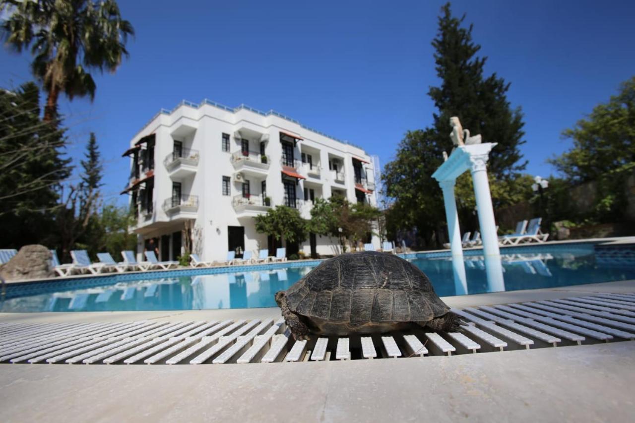 Green Valley Hotel Kemer 3*, фото 16