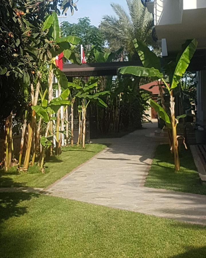 Green Valley Hotel Kemer 3*, фото 8