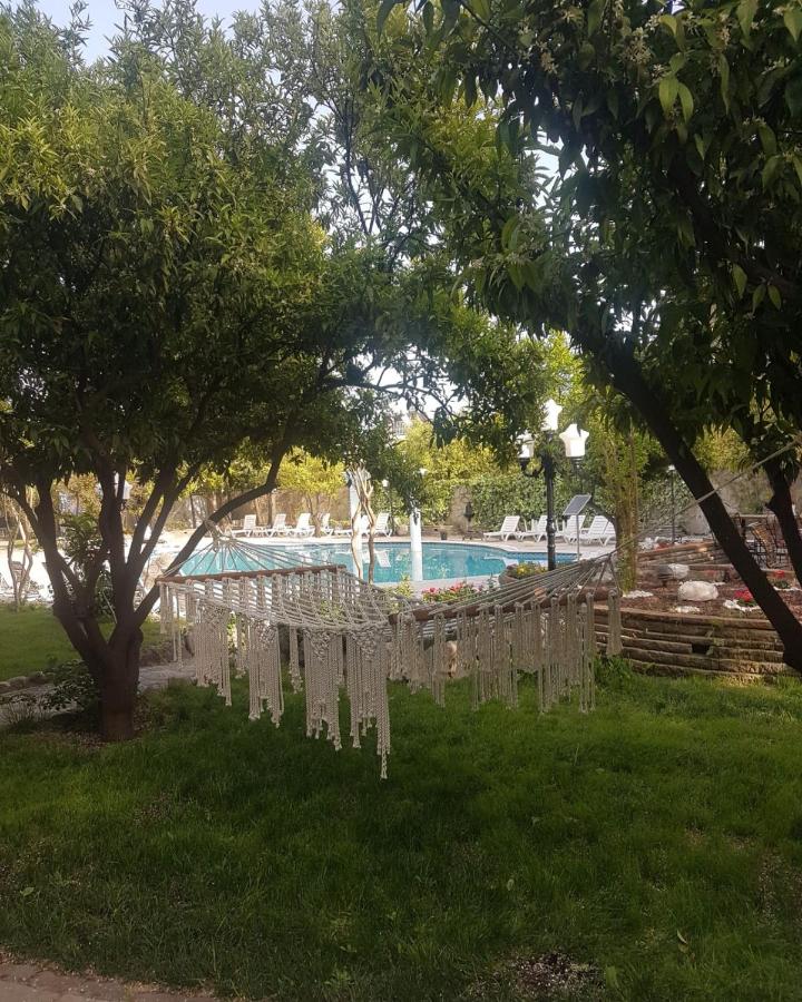 Green Valley Hotel Kemer 3*, фото 13