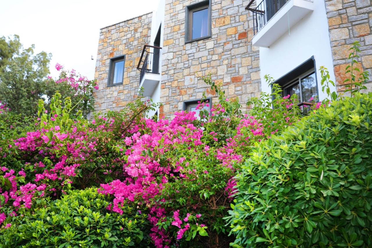 Mira Beach Resort Bodrum 3*, фото 5