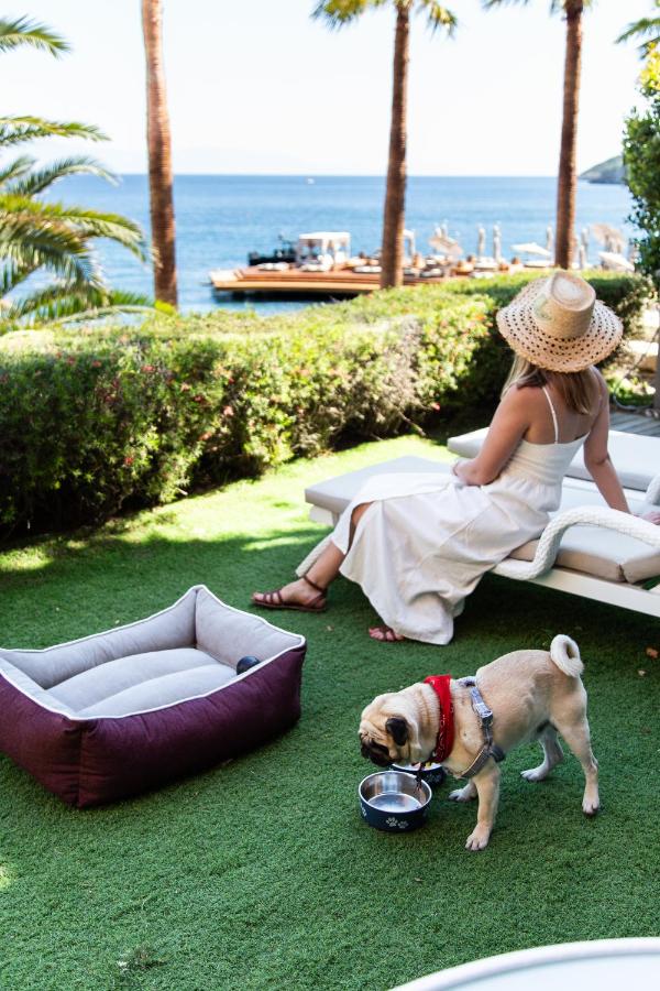 Caresse A Luxury Collection Resort & Spa 5*, фото 11