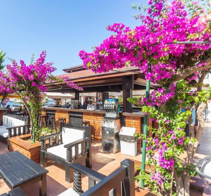 Seaside Beach Club Bodrum 3*, фото 5
