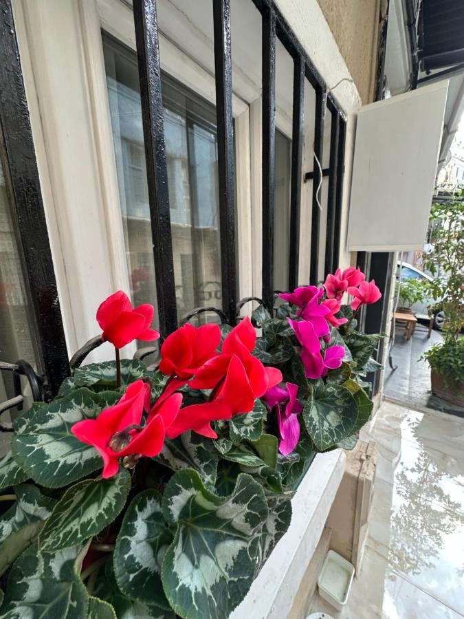 Viva Hotel, фото 16