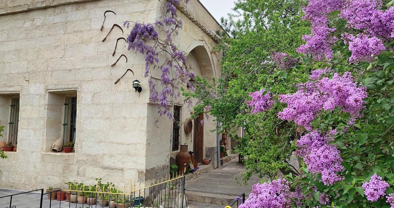 Armesos Cave Hotel, фото 5