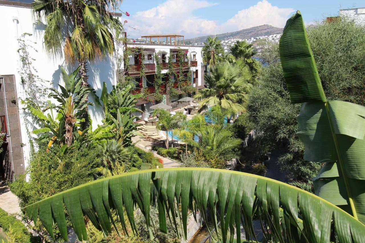 Nira Boutique Hotel, фото 6