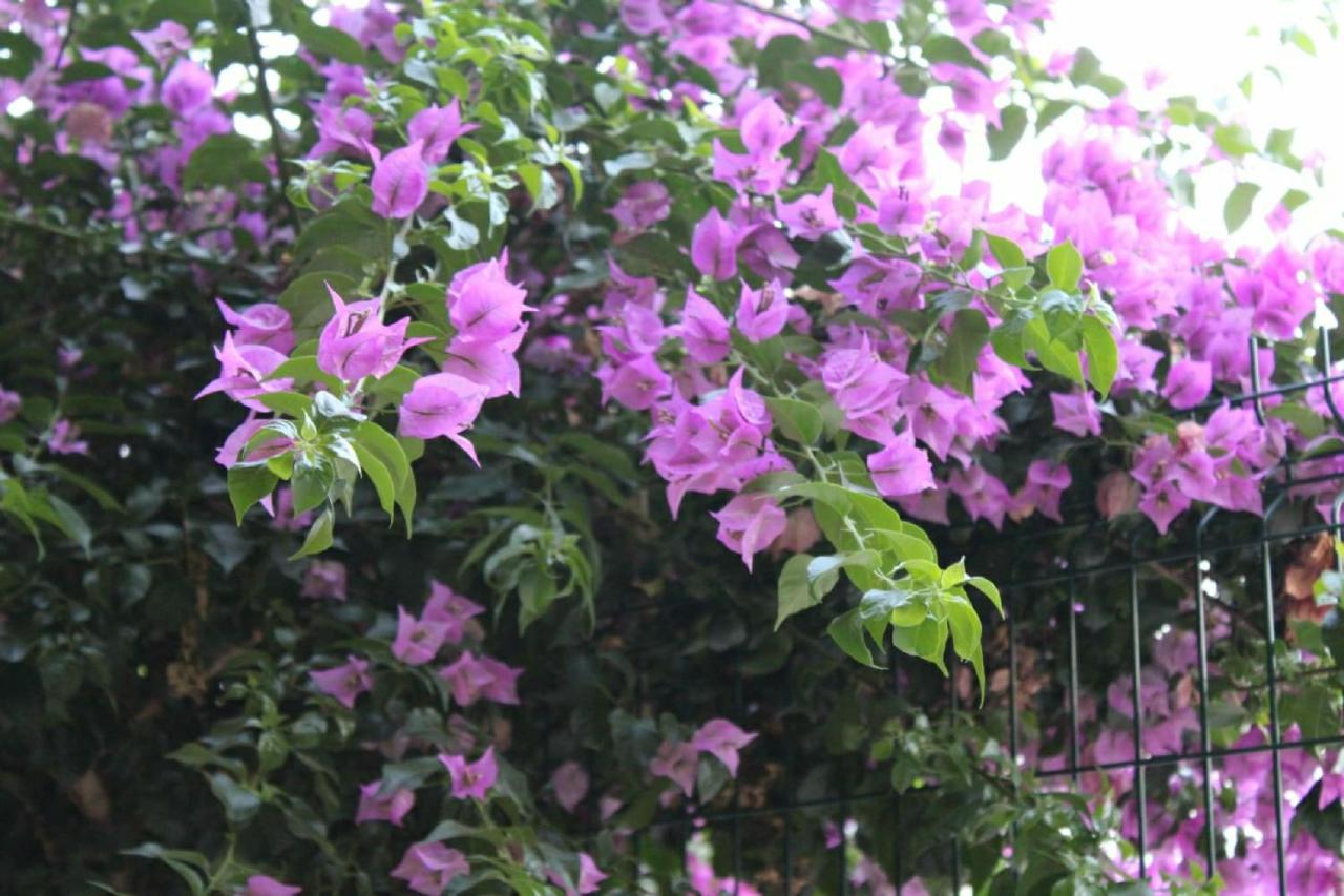 Spa Hotel, фото 8