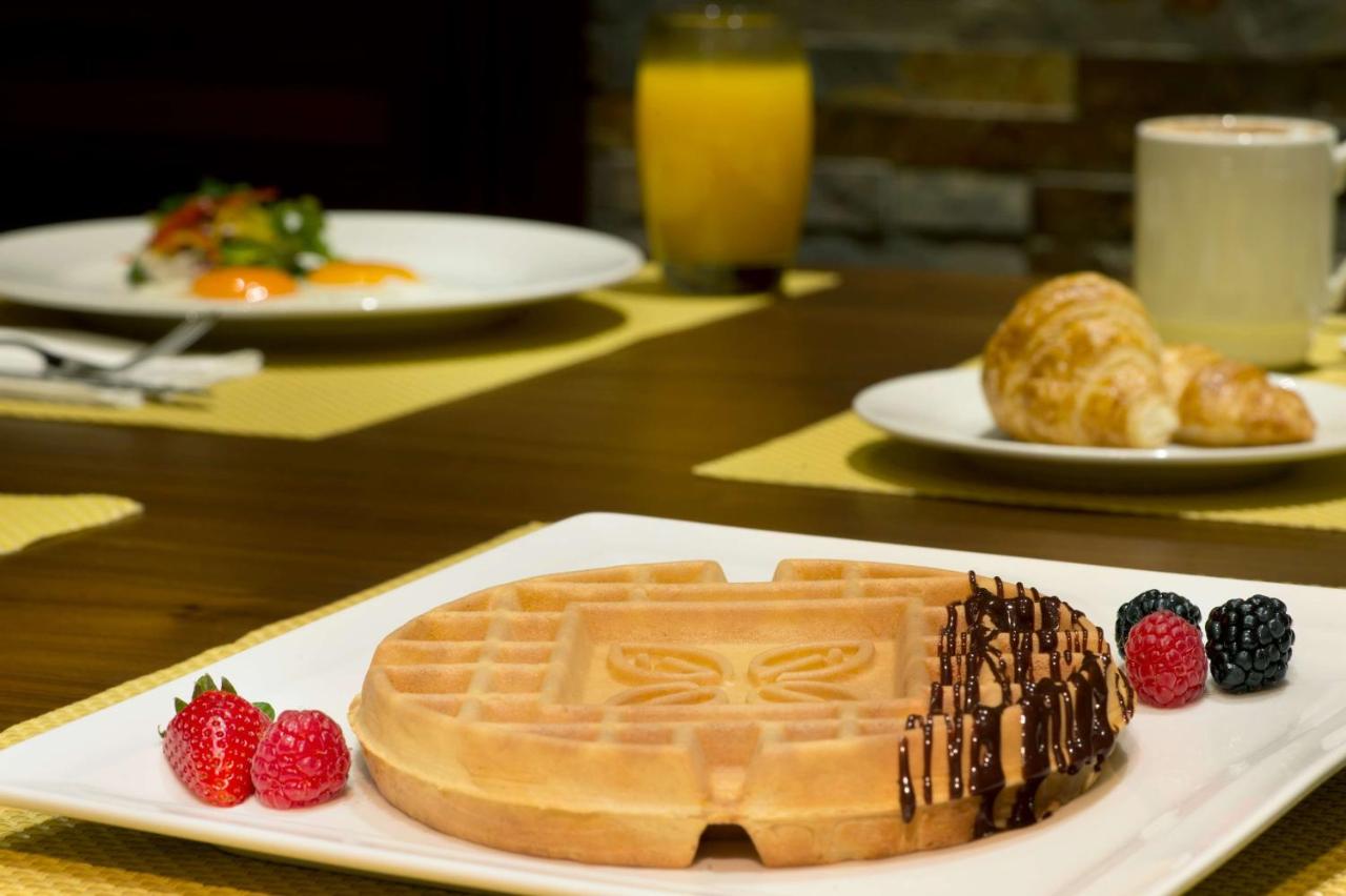 Hilton Garden Inn Dubai Al Muraqabat 4*, фото 10