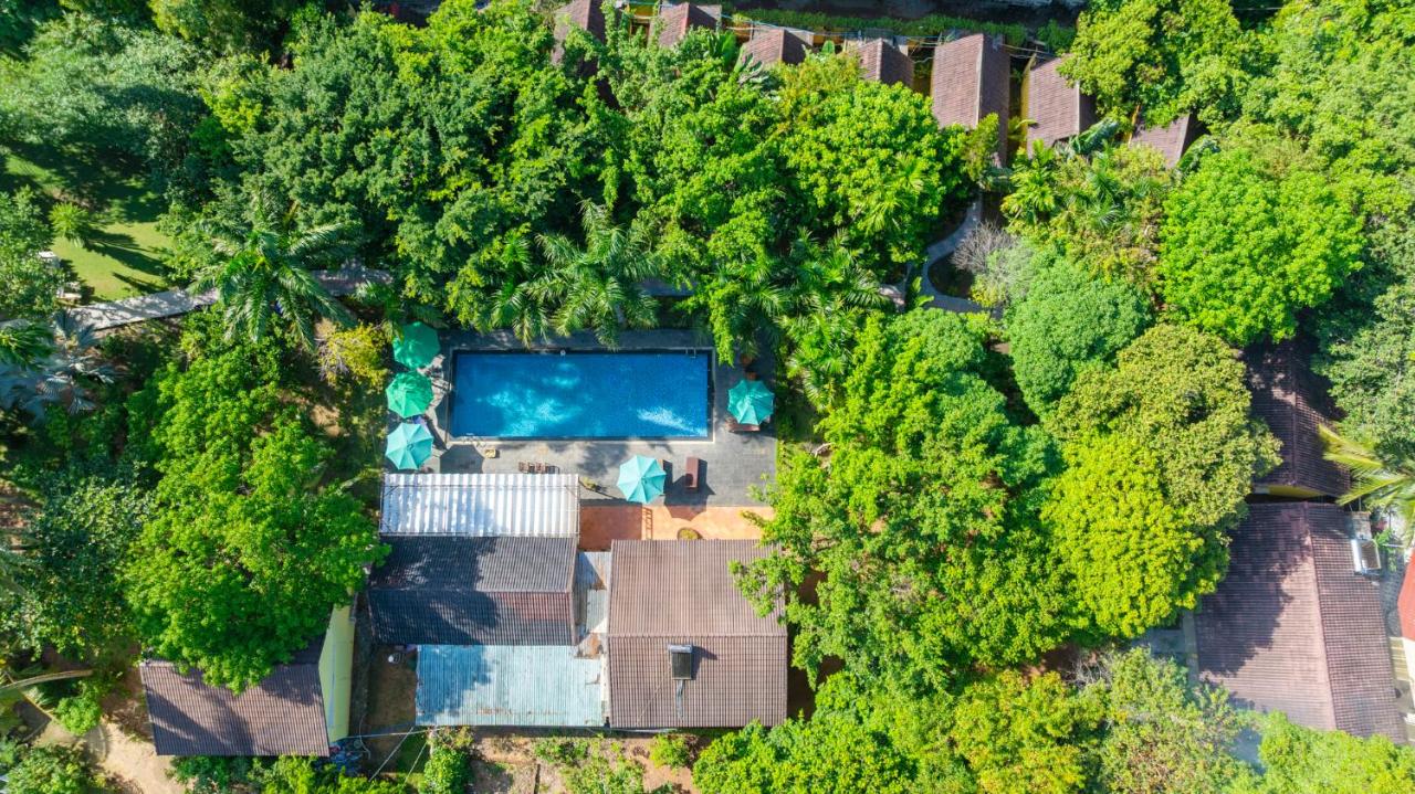 Green Bungalow Garden Resort Phu Quoc 3*, фото 15