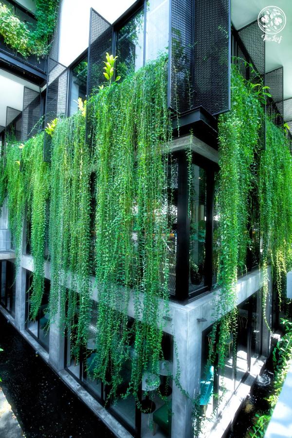 Blessed Hotel 3*, фото 6