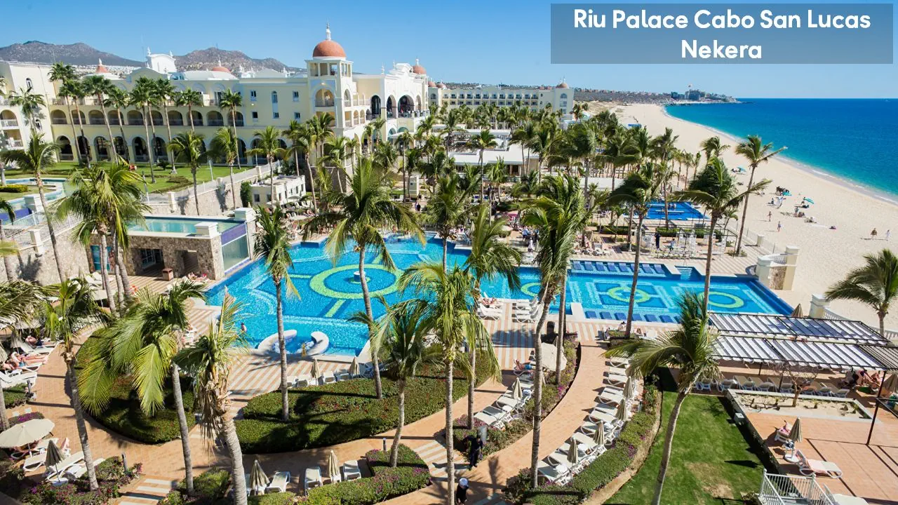 Riu Palace Cabo San Lucas 5*, фото 5