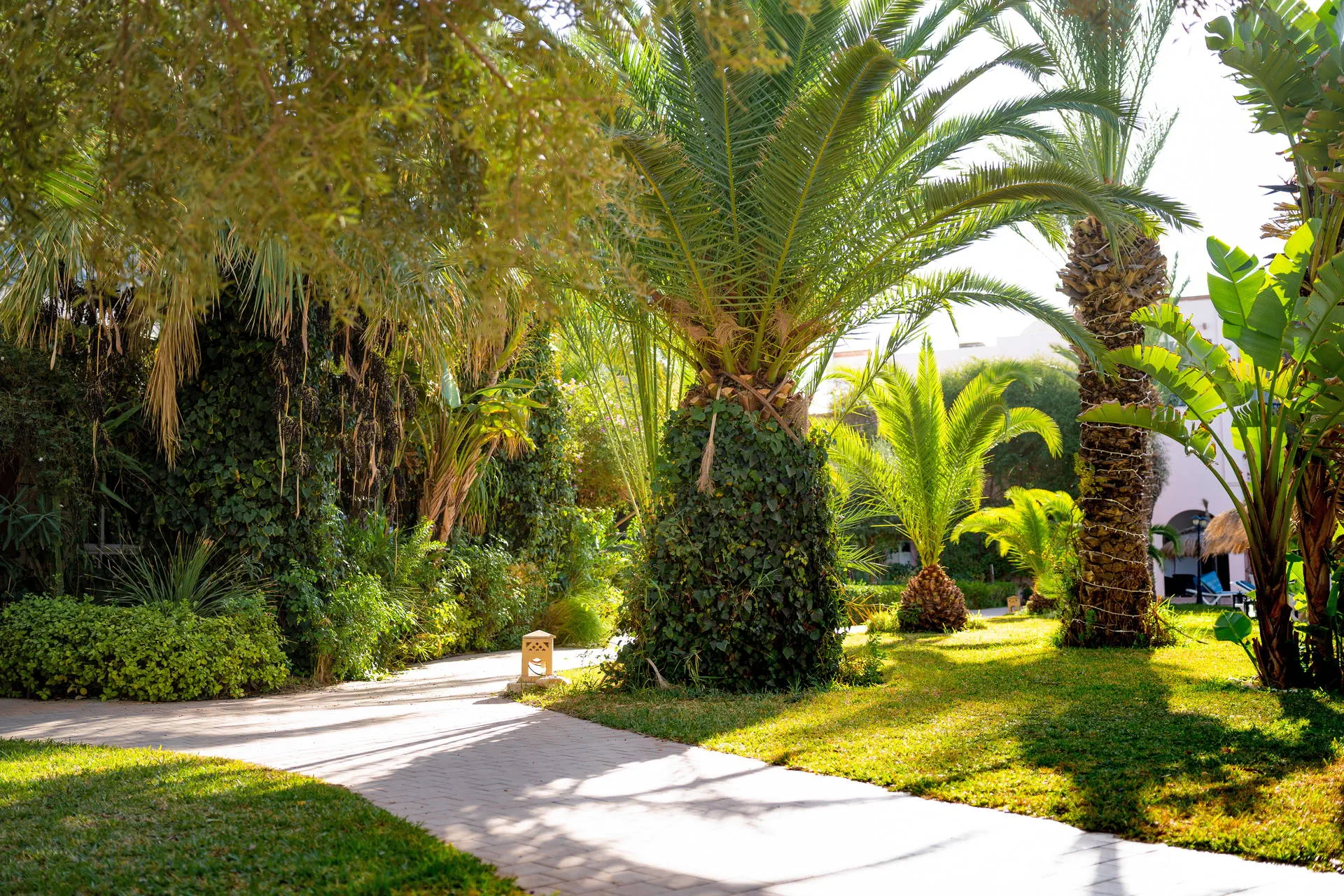 Eden Yasmine 4*, фото 11