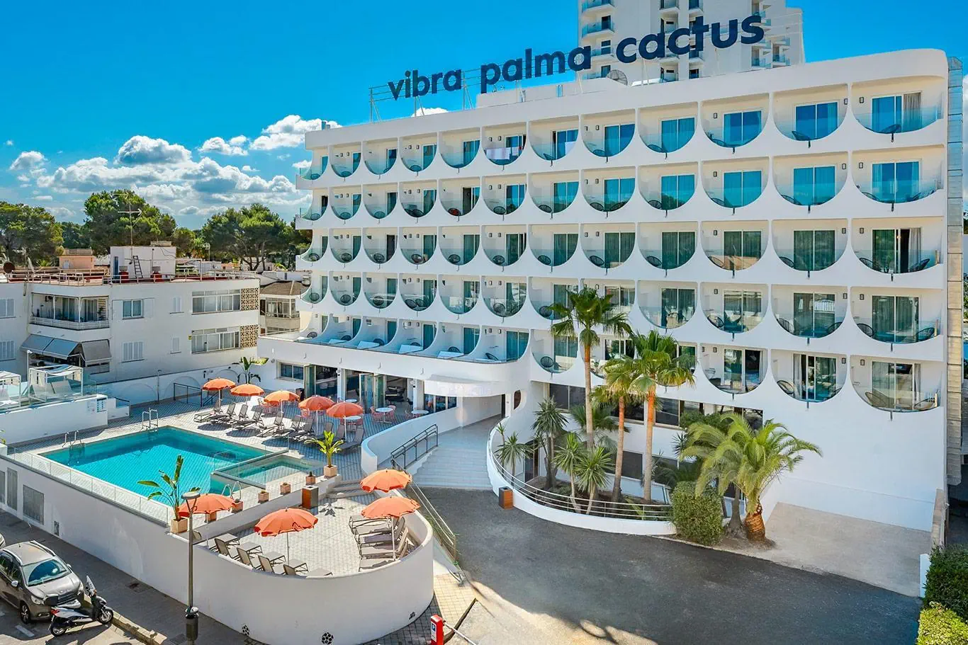 Vibra Palma Cactus 4*