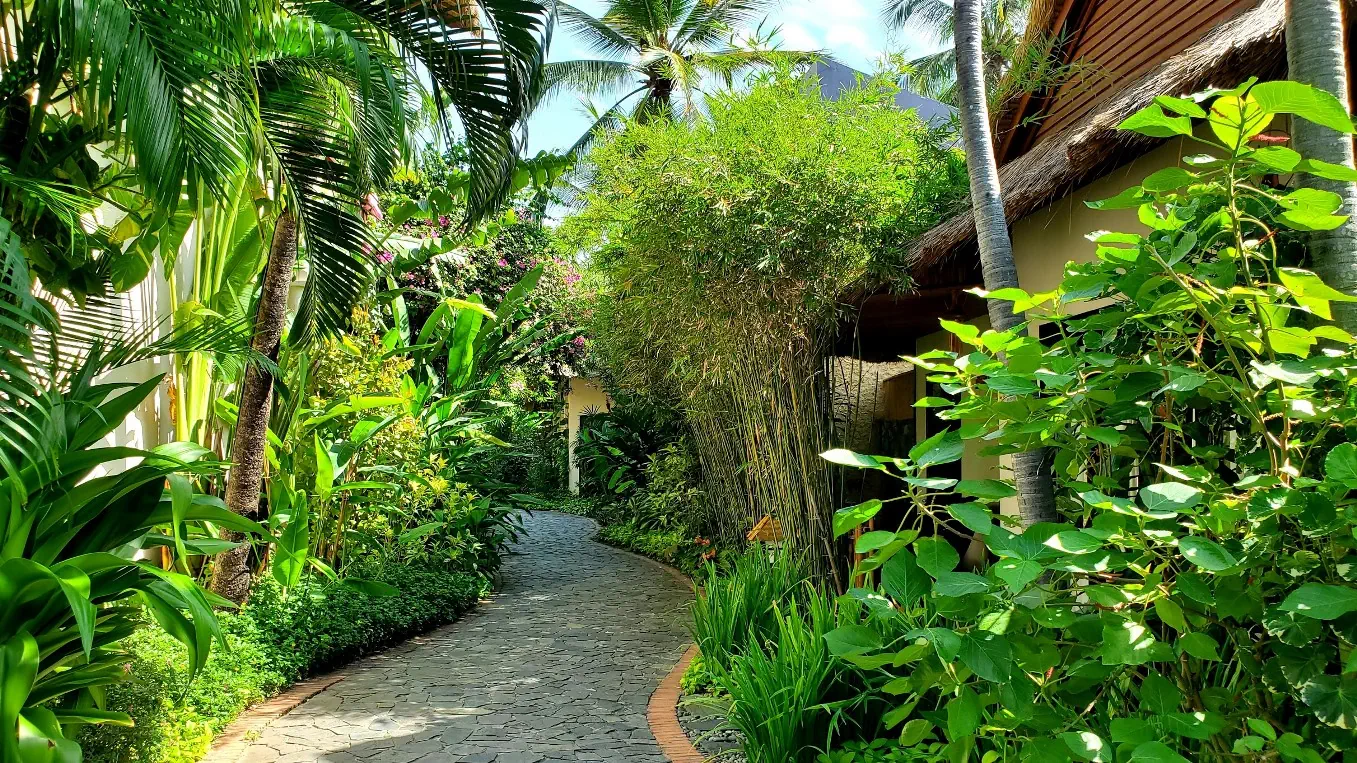 Bamboo Village Beach 4*, фото 3