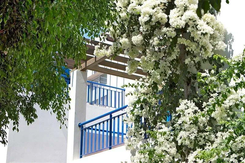 Aliathon Aegean 4*, фото 9