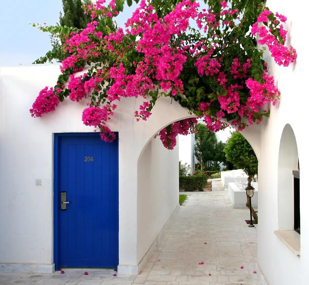 Aliathon Aegean 4*, фото 6