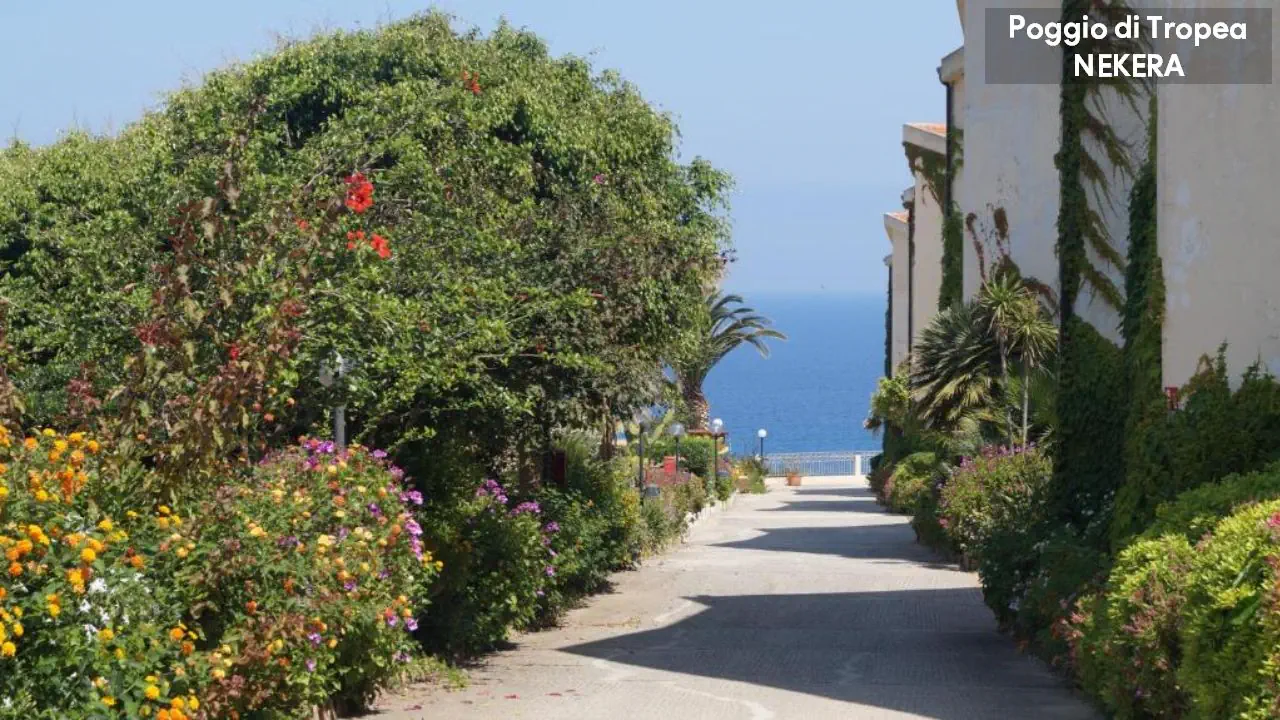 Poggio Di Tropea 3*, фото 15