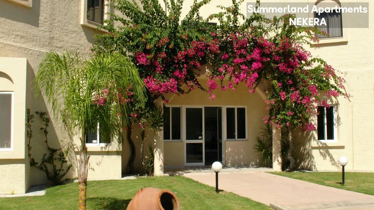 Summerland & Bungalows 3*, фото 2