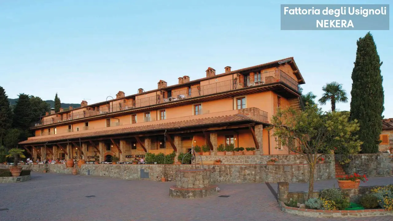 Fattoria Degli Usignoli 4*, фото 10