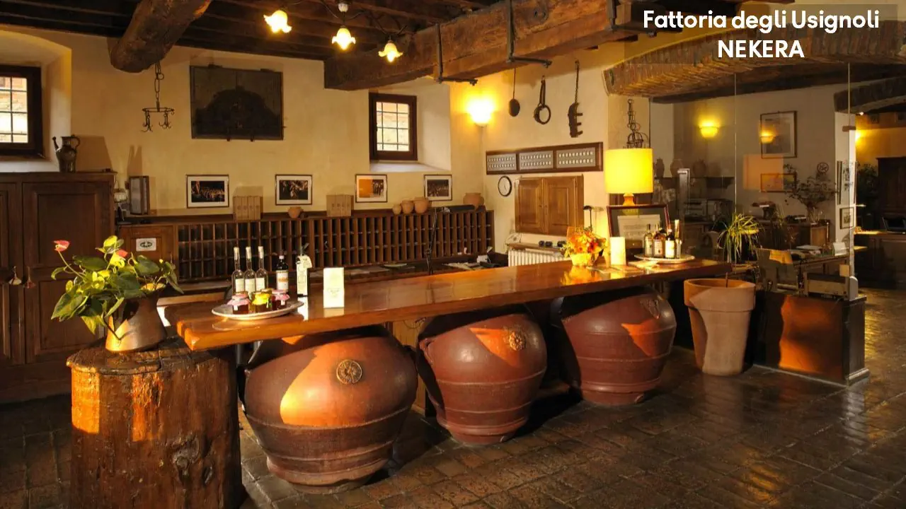 Fattoria Degli Usignoli 4*, фото 16