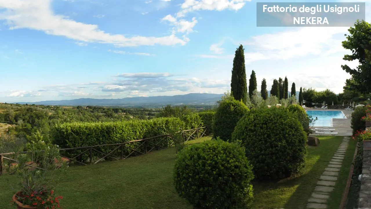 Fattoria Degli Usignoli 4*, фото 13