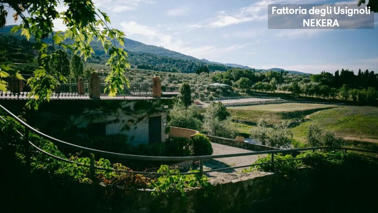Fattoria Degli Usignoli 4*, фото 14