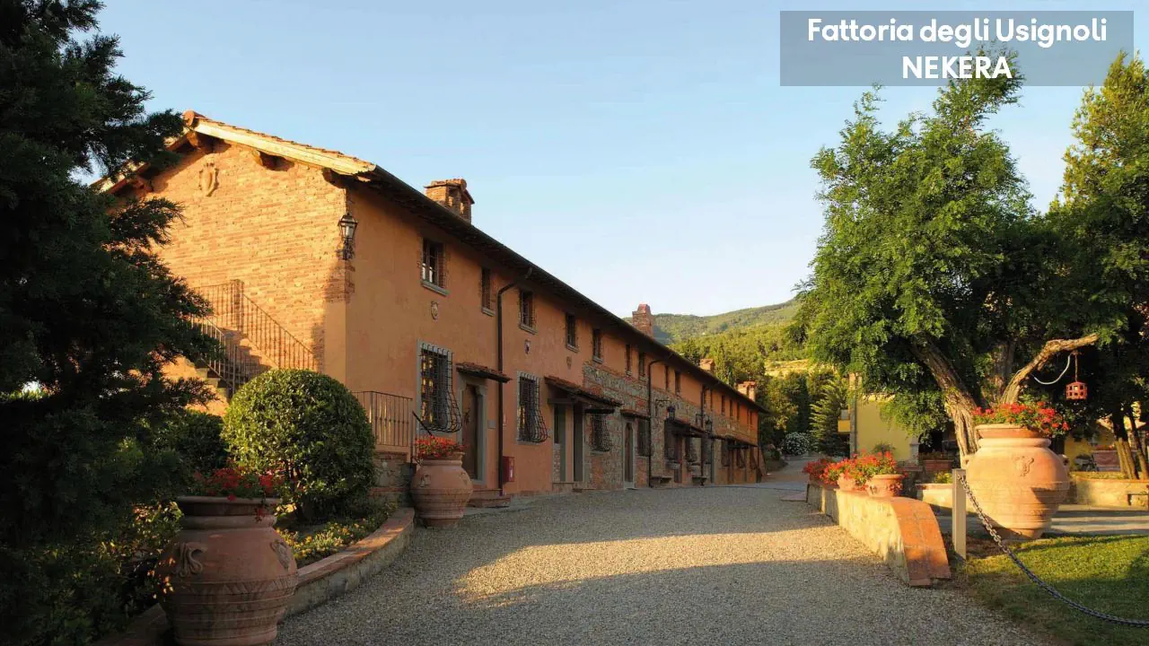 Fattoria Degli Usignoli 4*, фото 11