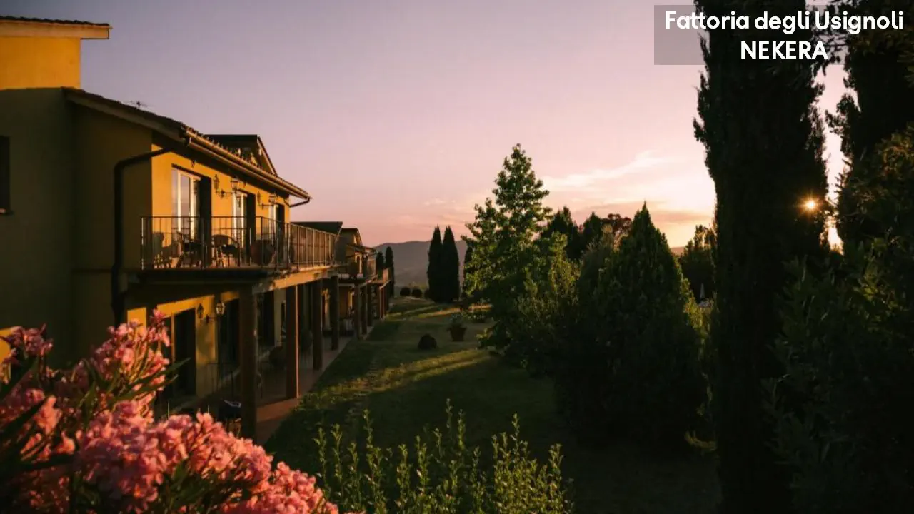 Fattoria Degli Usignoli 4*, фото 2