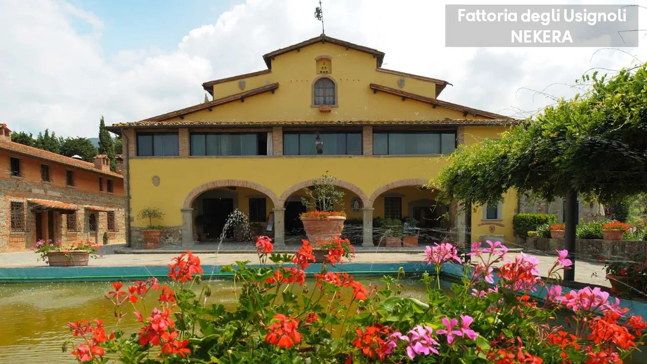 Fattoria Degli Usignoli 4*, фото 8