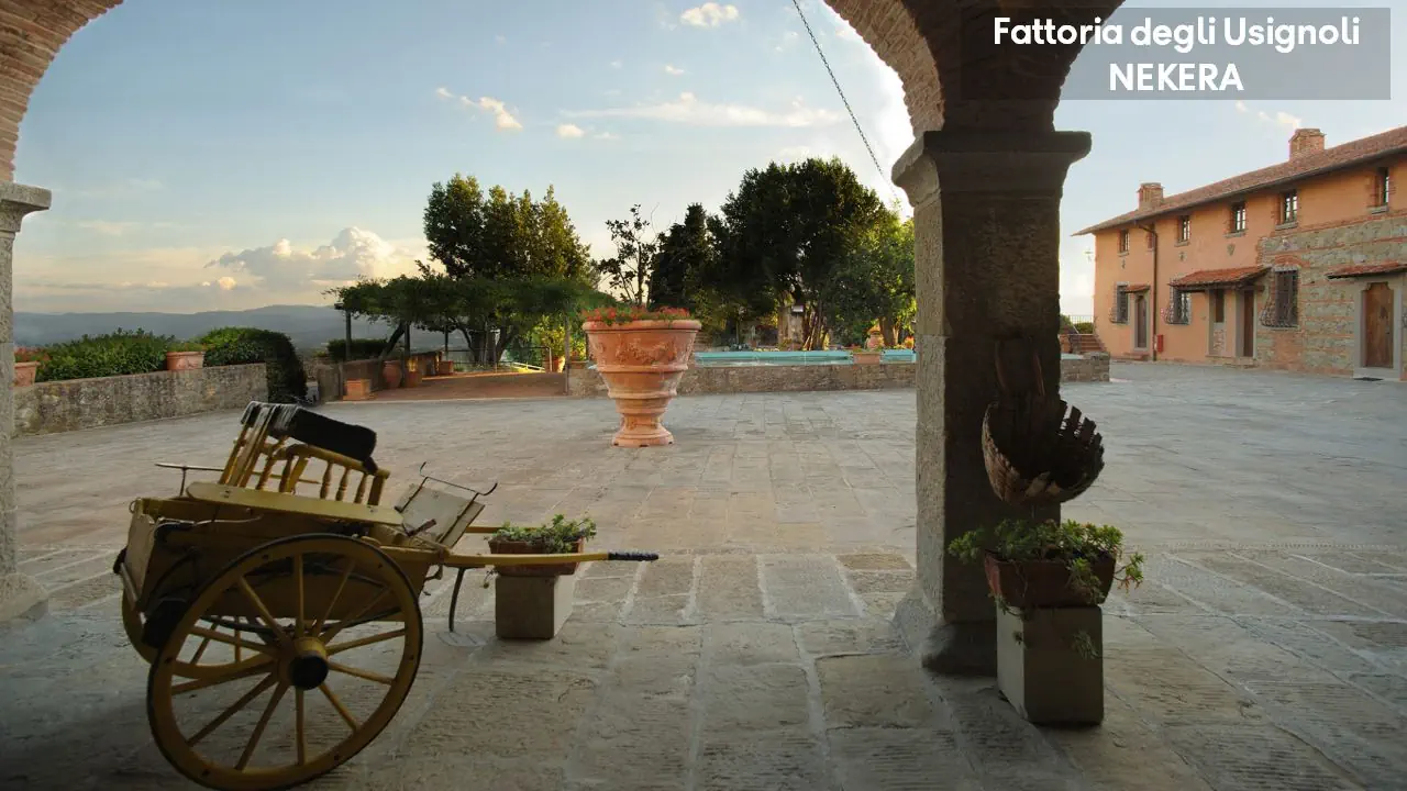 Fattoria Degli Usignoli 4*, фото 12