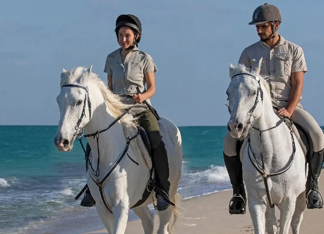 ANANTARA SIR BANI YAS ISLAND AL YAMM VILLA RESORT 5*, фото 5