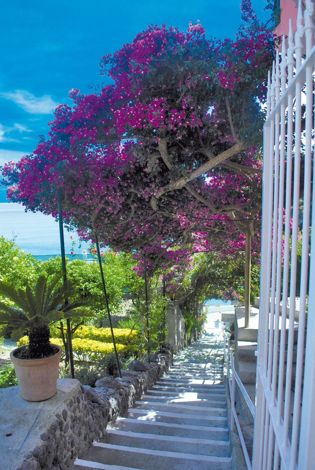 Casa Rosa Terme 3*, фото 14