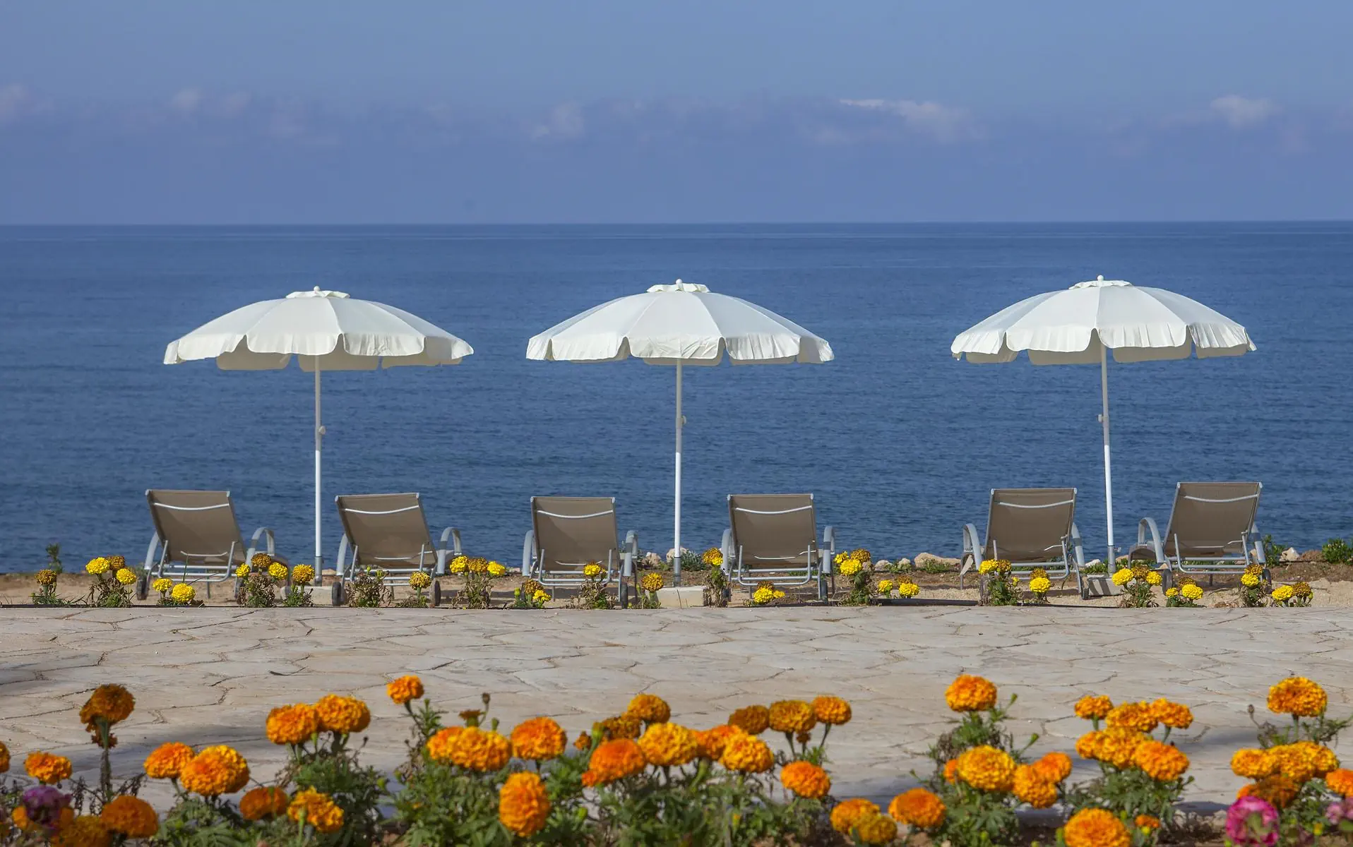 King Evelthon Beach Hotel and Resort 5*, фото 7