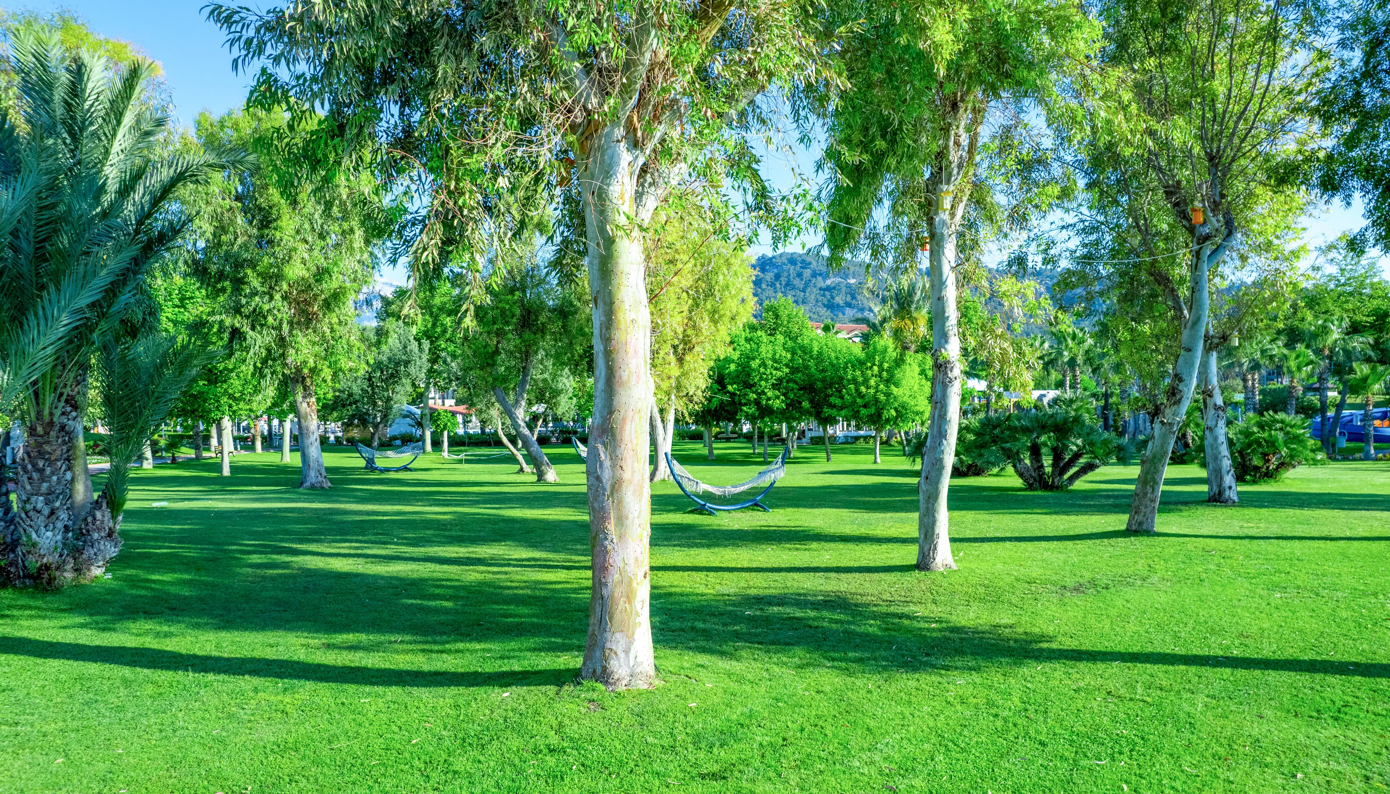 Le Jardin Resort Holiday Village 5*, фото 8